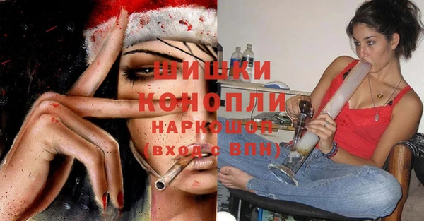 молекула духа Лихославль