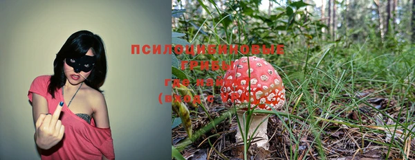 MDMA Premium VHQ Ладушкин