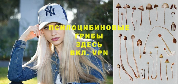 молекула духа Лихославль