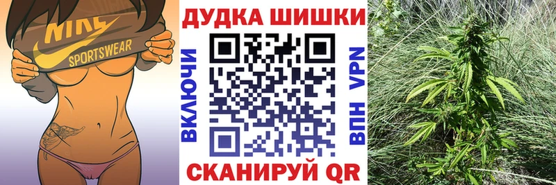 Бошки Шишки план  купить наркоту  ссылка на мегу сайт  дарк нет телеграм  Мезень 